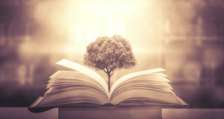 论语十则原文及翻译