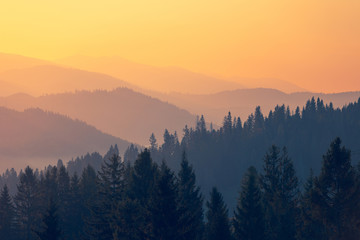 有木有六年级所学过的各种类型的应用题咯