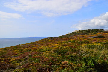 现在社会上哪个行业比较吃香？