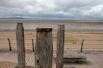 初中语文必读书目