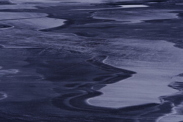 十大公认最香的花香植物