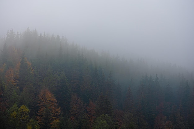 有木有六年级所学过的各种类型的应用题咯