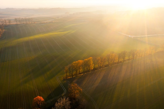 现在社会上哪个行业比较吃香？