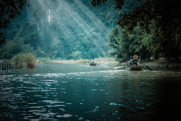 十大公认最香的花香植物